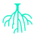 root